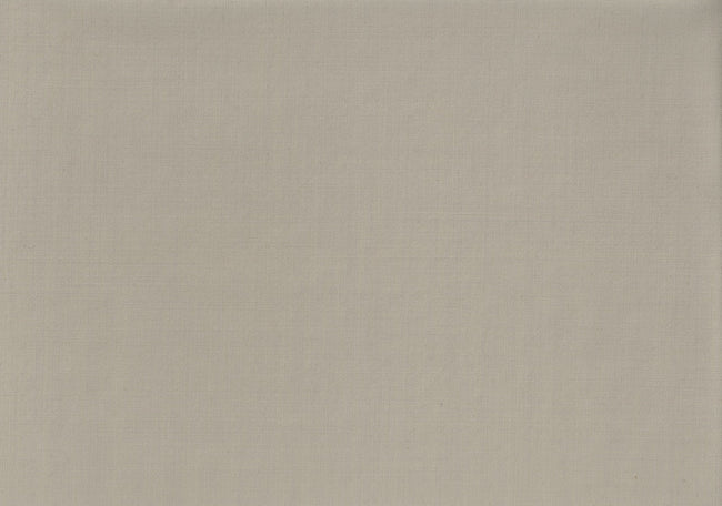30999-27/10275 Light Beige Solid Pants Fabric