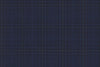 4868/G3-21746 Navy and Green Check Suit Fabric