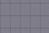2199017/G1-22964 Light Gray Windowpane Suit Fabric
