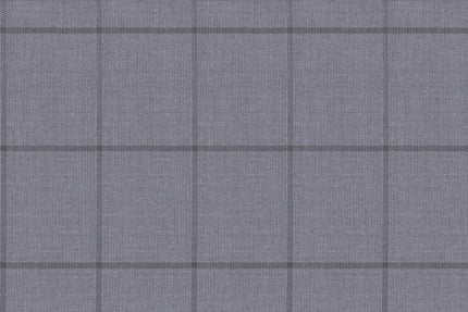 2199017/G1-22964 Light Gray Windowpane Suit Fabric