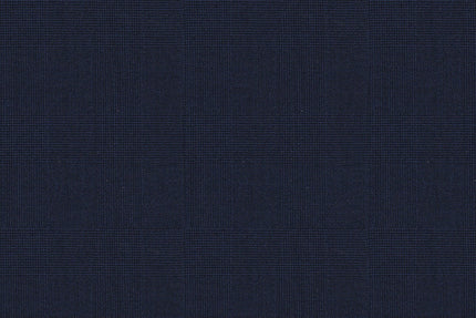 2199027/G1-22916 Navy Self Check Jacket Fabric