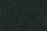 25000-16/G5-20197 Dark Green Solid Pants Fabric