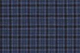 25005-2/G5-20213 Blue & Black Window Pane Vest Fabric