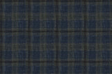 25010-2/G5-20208 Dark Blue With Moss Window Pane Vest Fabric
