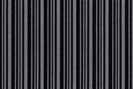 4862/G3-21740 Silver & Black Stripe Jacket Fabric
