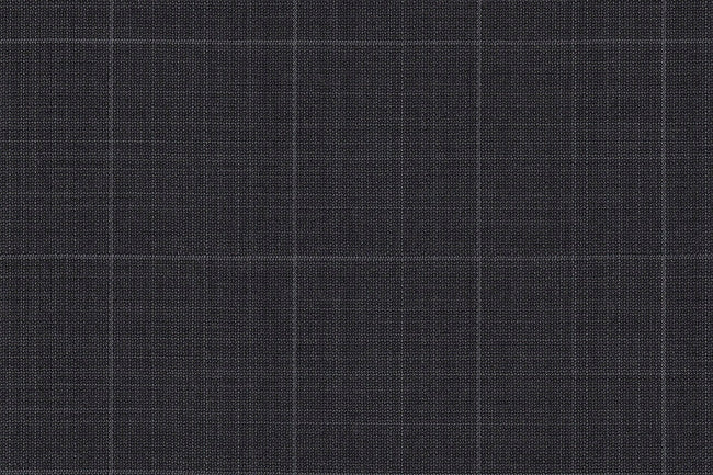 4870/G3-21748 Gray With Silver Windowpane Jacket Fabric
