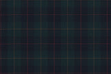 4880/G3-21758 Green Tartan Check Suit Fabric