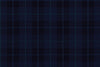 4881/G3-21759 Navy With Light Blue & Green Check Pants Fabric