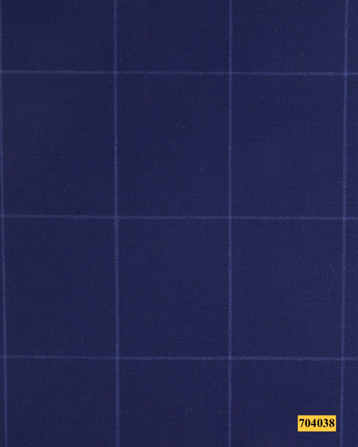 704038/P3-17893 Blue Wth White Check Vest Fabric
