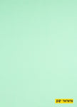 707070/P3-19987 Light Green Solid Jacket Fabric