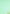 707070/P3-19987 Light Green Solid Jacket Fabric