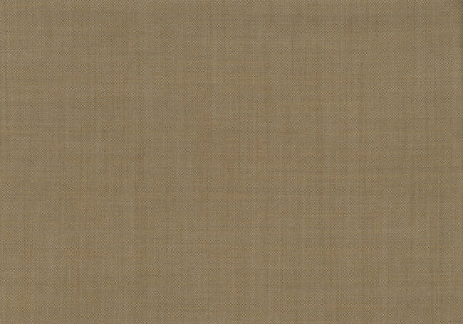 71108-3/10262 Beige Pinpoint Suit Fabric