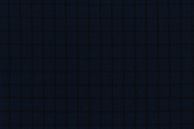 71120-2/10309 Black Check On Dark Blue Birdseye Vest Fabric