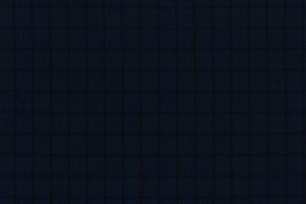71120-2/10309 Black Check On Dark Blue Birdseye Suit Fabric