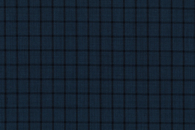 71120-3/10308 Black Check On Blue Birdseye Jacket Fabric