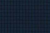 71120-3/10308 Black Check On Blue Birdseye Suit Fabric