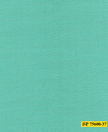 75600-37/P3-18117 Persian Green Plain Vest Fabric