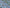 COLOR 108/BLOOM 108 Blue and White Printed Fine Giza Cotton Shirting Fabric