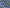 COLOR 1/BLOOM 1 Blue and White Floral Printed Fine Giza Cotton Shirting Fabric