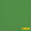 CT 27037/P3-21885 Apple Green Jacket Fabric