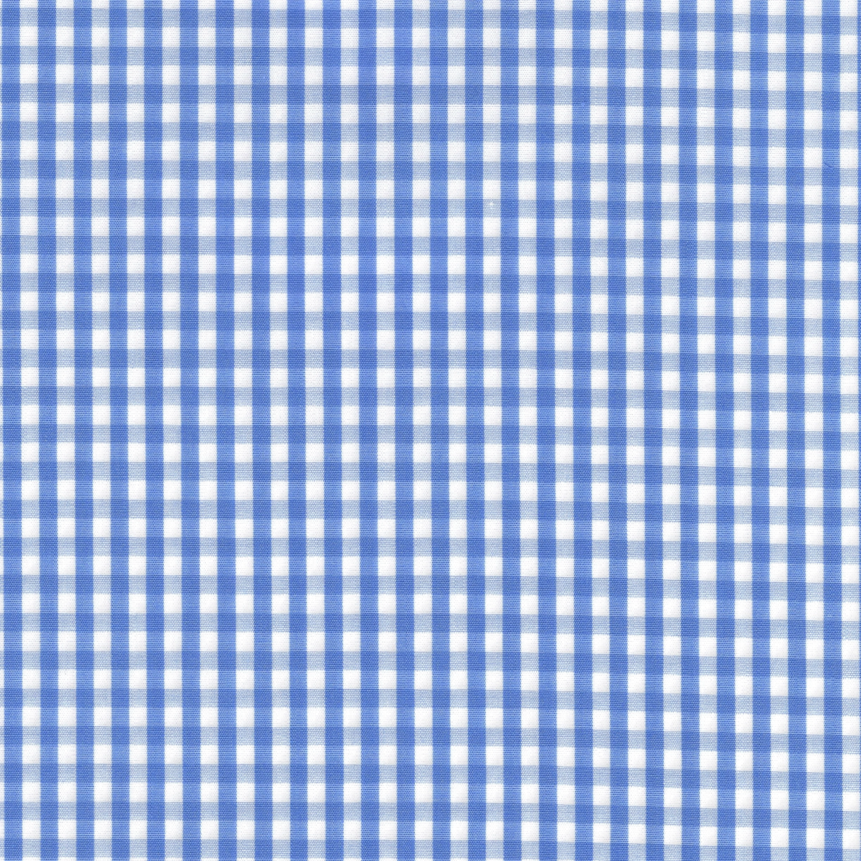 Blue and White Gingham Check Shirt
