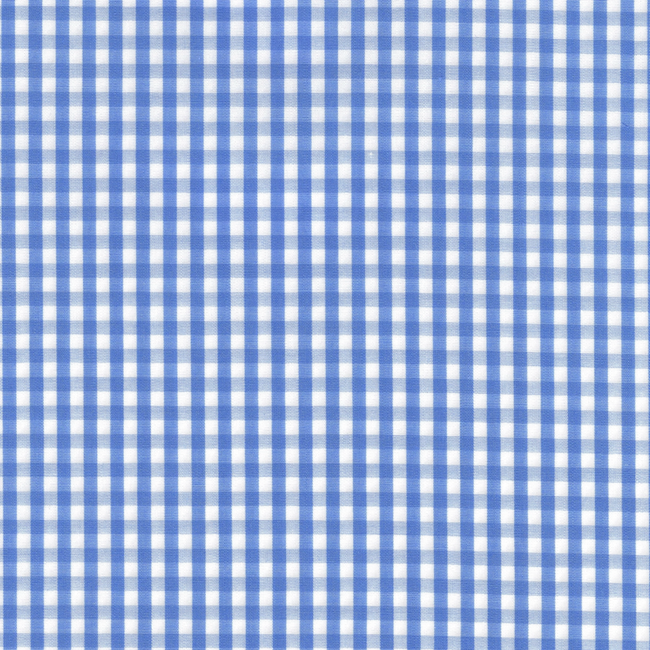 Blue and White Gingham Check Shirt