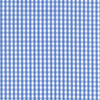 Blue and White Gingham Check Shirt