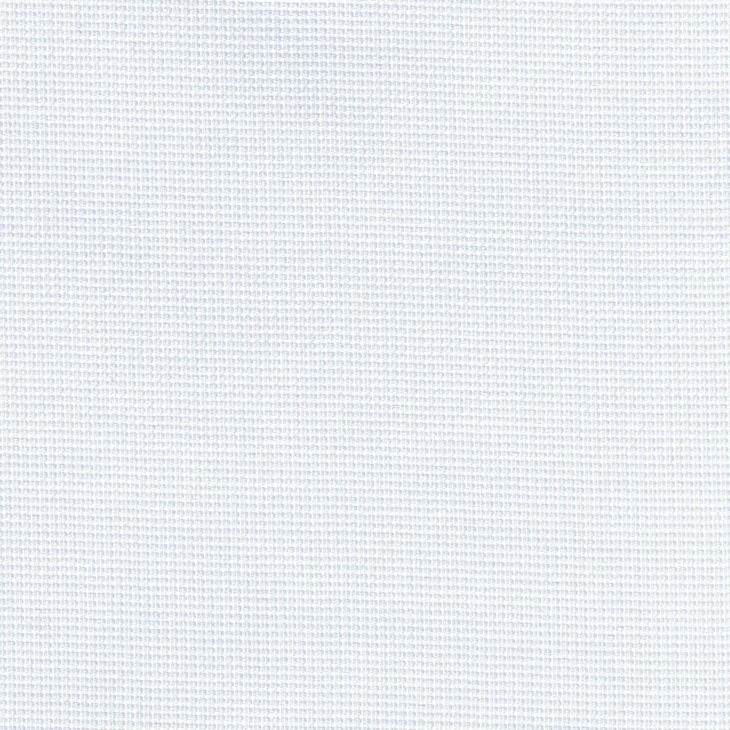 Light Blue and White Pinpoint Self Texture Shirt