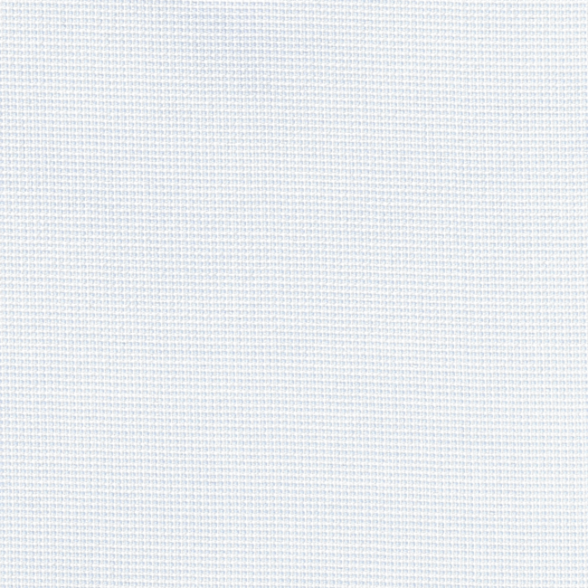 Light Blue and White Pinpoint Self Texture Shirt