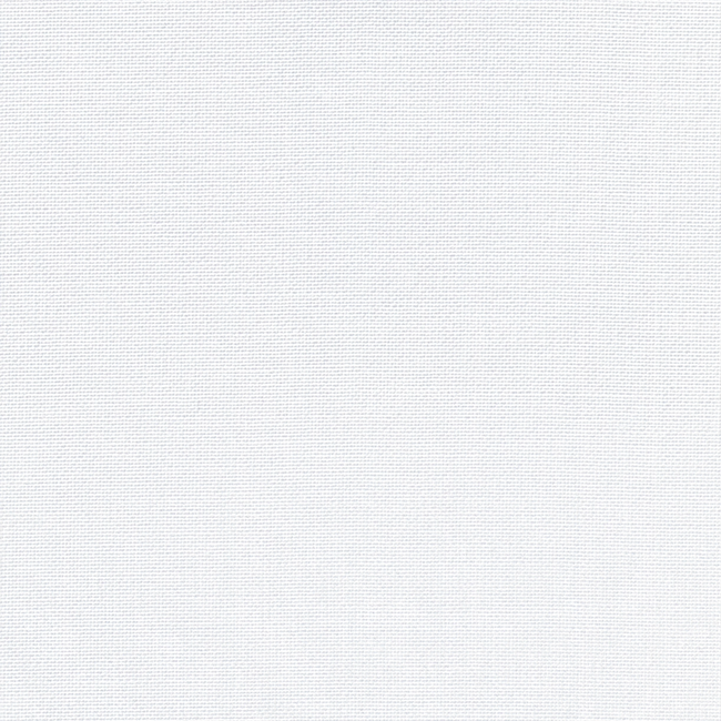 White Oxford Self Texture Shirt