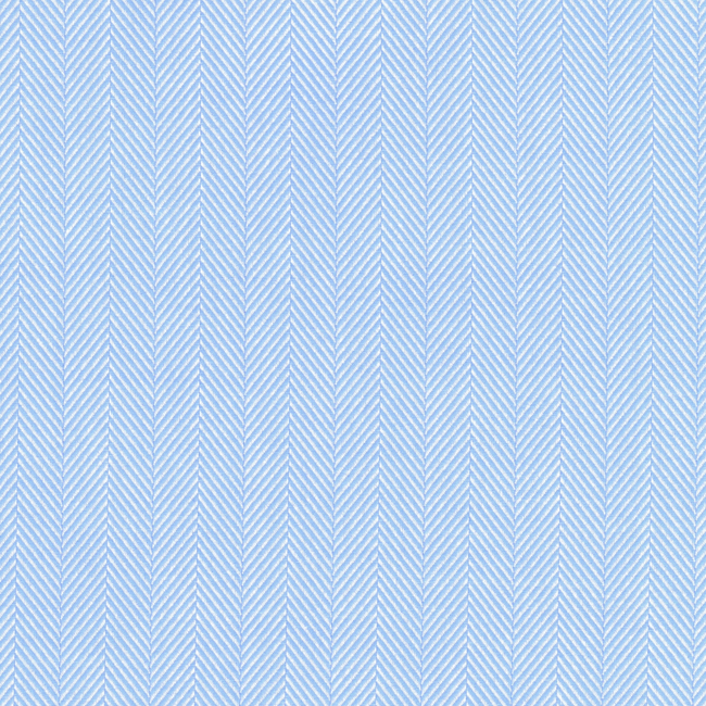 Light Blue Herringbone Shirt