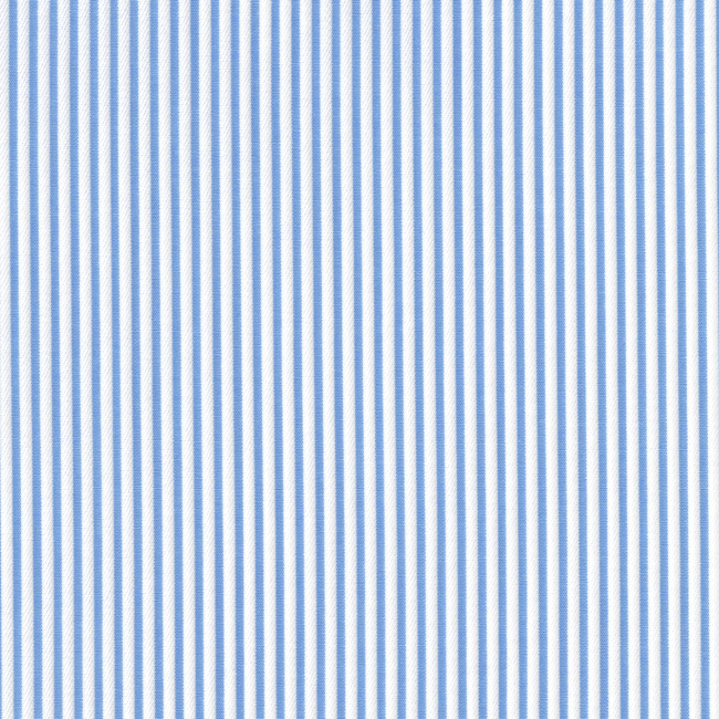 Blue and White Stripe Shirt