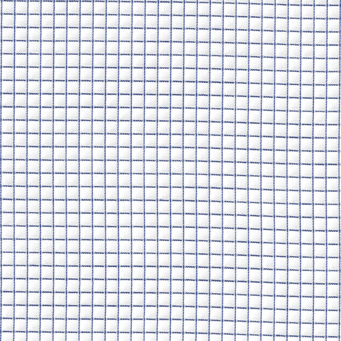 White with Blue Check Shirt