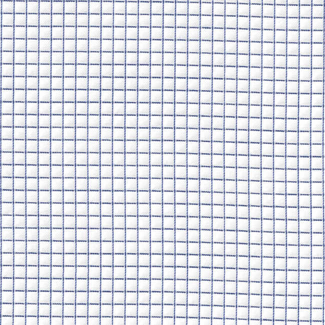 White with Blue Check Shirt