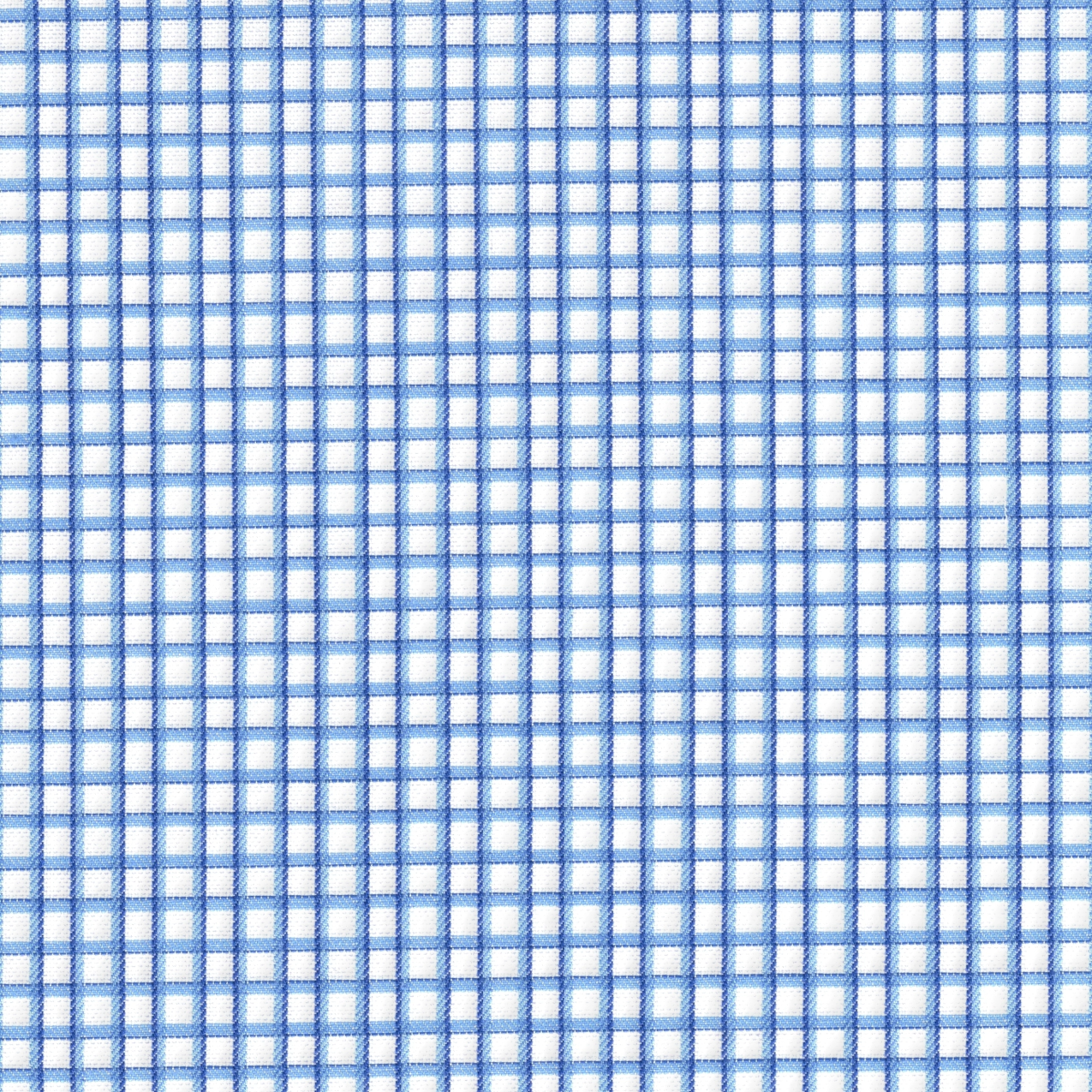 Blue and White Check Shirt