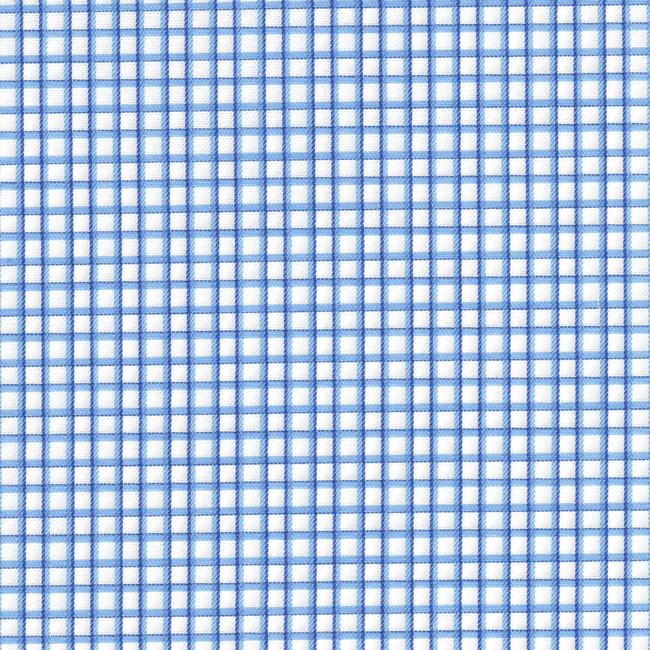 Blue and White Check Shirt