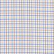 Brown and Blue Stripes in White Check Shirt