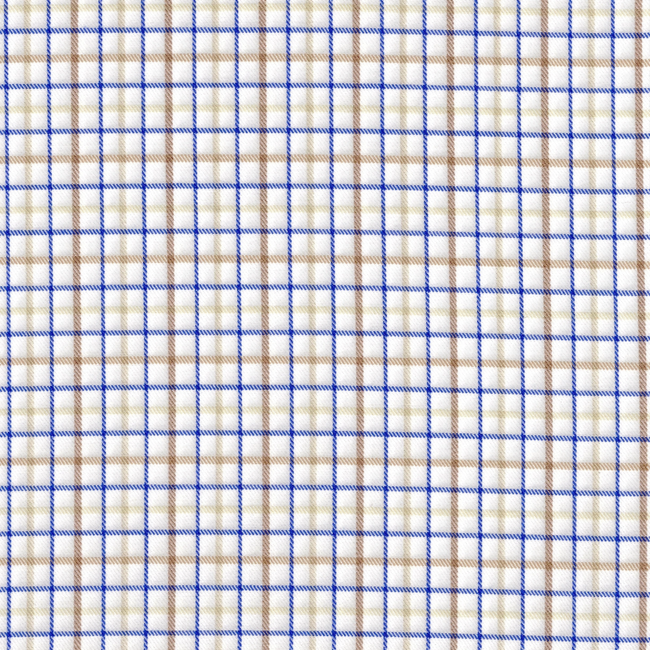 Brown and Blue Stripes in White Check Shirt