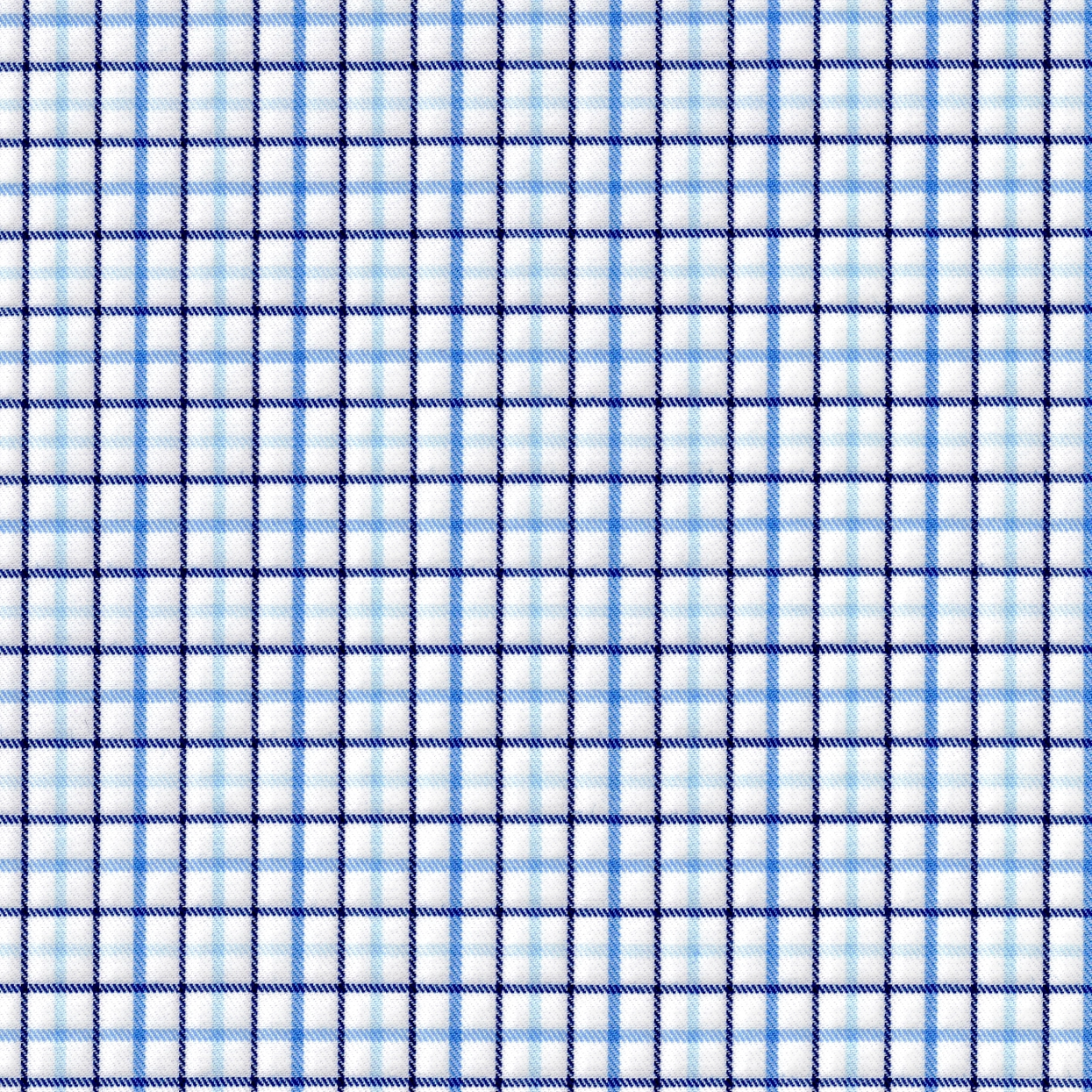 Blue Checks in White Plaid Shirt