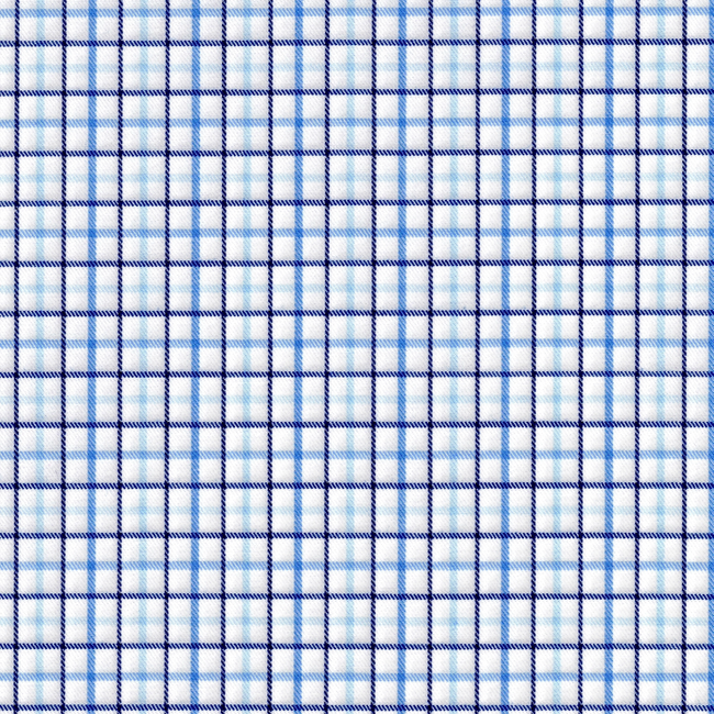 Blue Checks in White Plaid Shirt