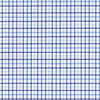Blue Checks in White Plaid Shirt