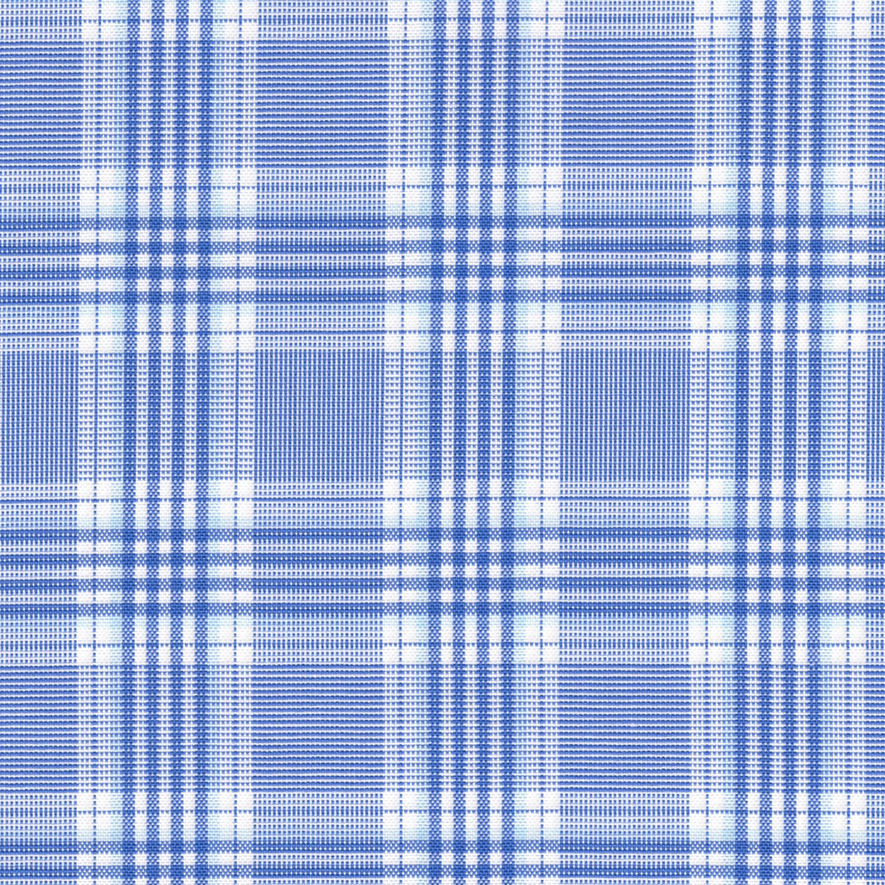 Blue and White Plaid Shirt