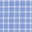 Blue and White Plaid Shirt