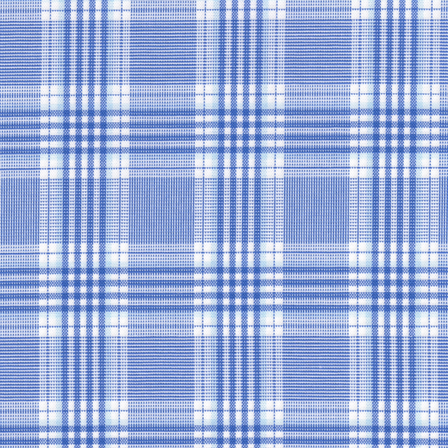 Blue and White Plaid Shirt