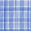 Blue and White Plaid Shirt
