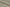 LH2101-12/W6-36647 Taupe Solid Linen Shirting Fabric