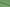 LH2101-2/W6-36637 Lime Green Solid Linen Shirting Fabric