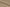 LH2101-4/W6-36639 Pale Light Orange Solid Linen Shirting Fabric
