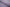 P-727/5889 Fine Cotton Purple and White Checks Shirting Fabric