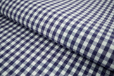 P-728/5890 Fine Cotton Navy Blue and White Checks Shirting Fabric